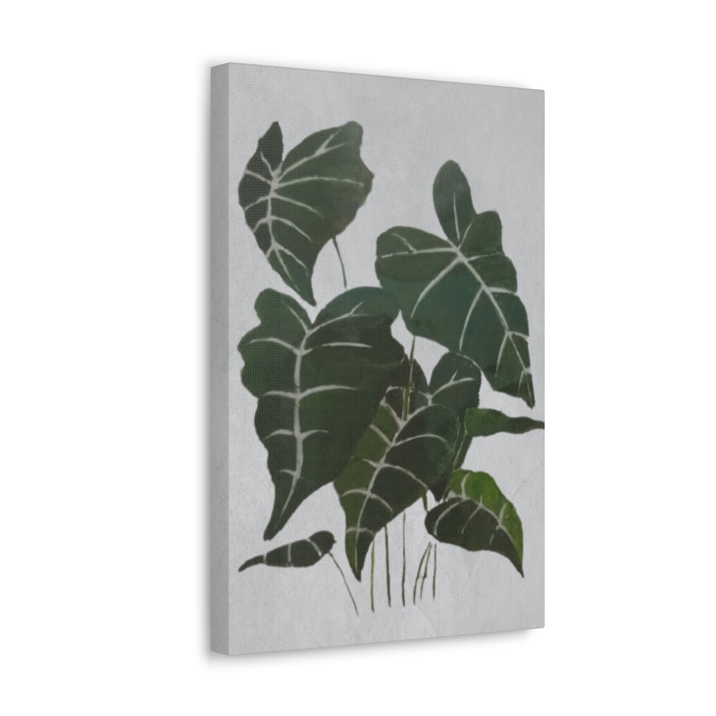 Lush Philodendron Canvas Print