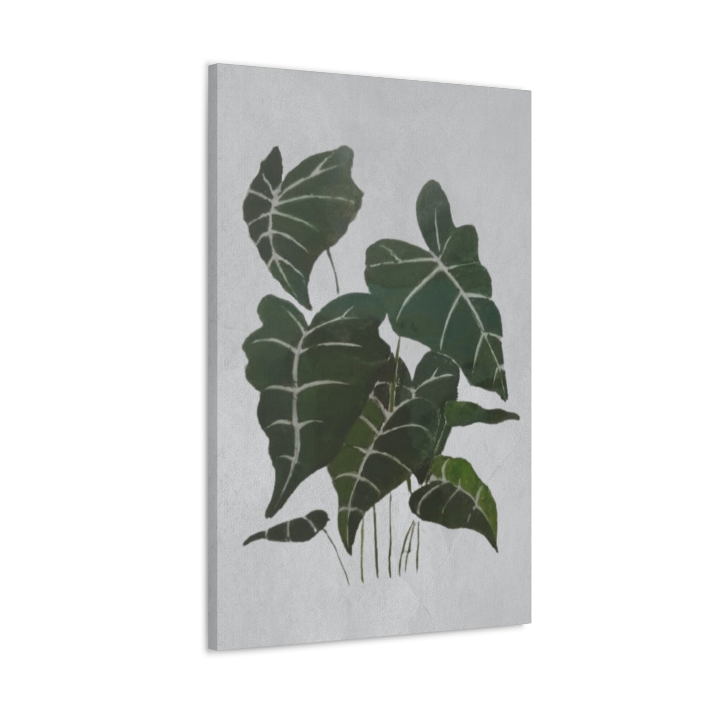 Lush Philodendron Canvas Print