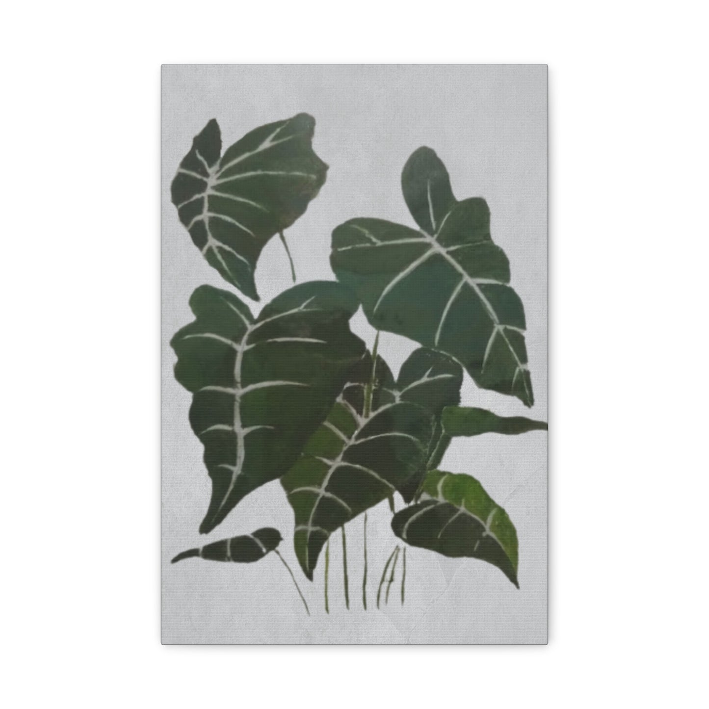 Lush Philodendron Canvas Print