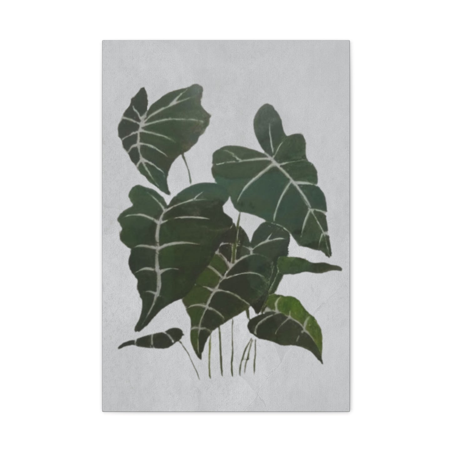 Lush Philodendron Canvas Print