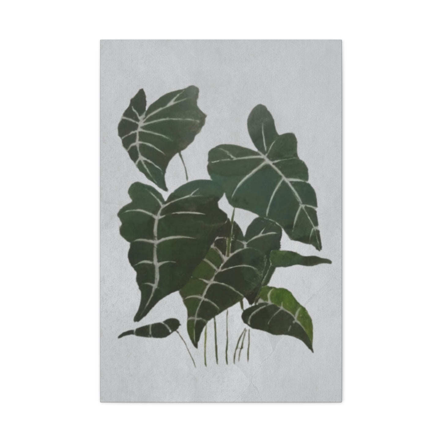 Lush Philodendron Canvas Print