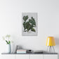 Lush Philodendron Canvas Print