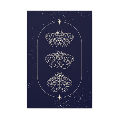 Midnight Moths Canvas Print