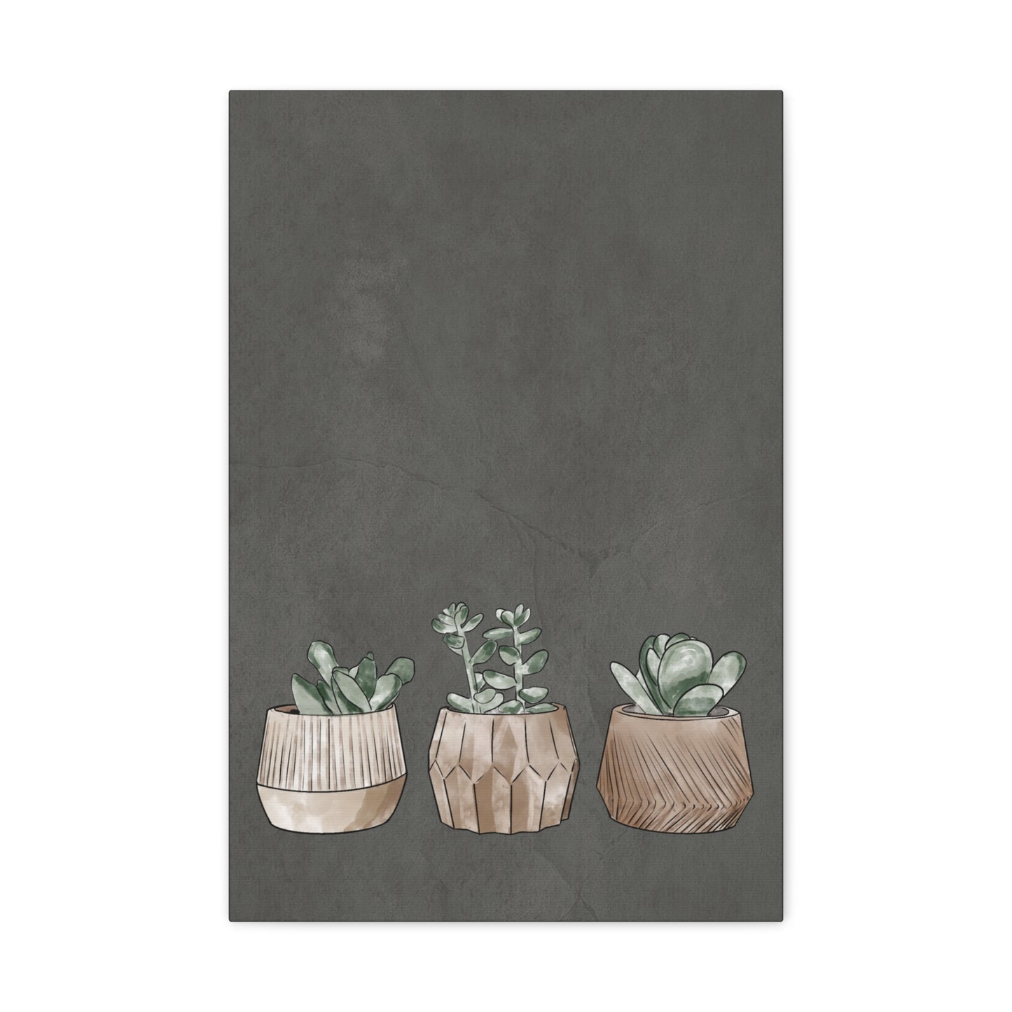 Succulent Canvas Print