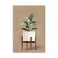 Potted Peace Lily Canvas Print