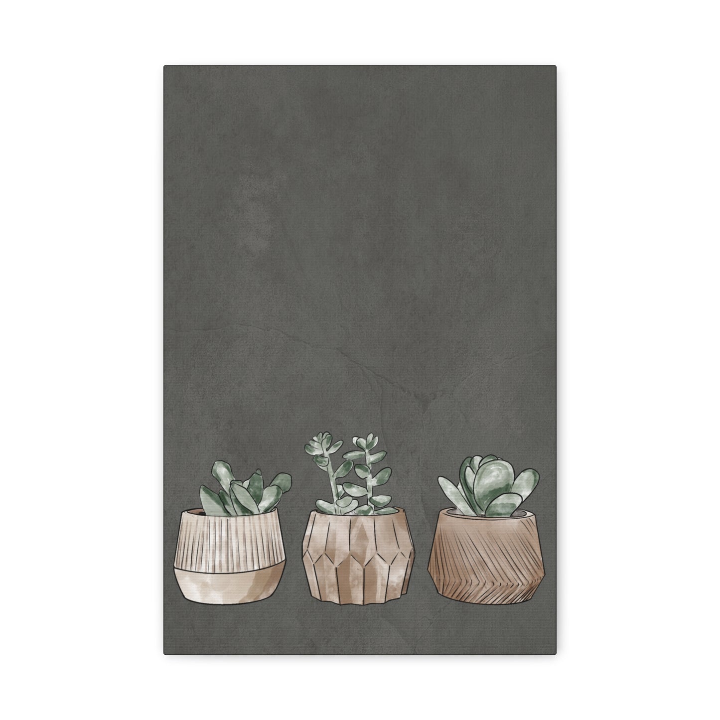 Succulent Canvas Print