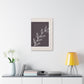 Botanical Brown 1 Canvas Print