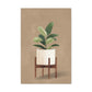 Potted Peace Lily Canvas Print
