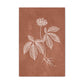 Romantic Sketch 8 Canvas Print