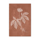 Romantic Sketch 8 Canvas Print