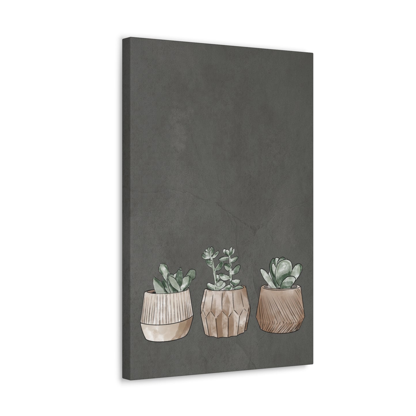 Succulent Canvas Print