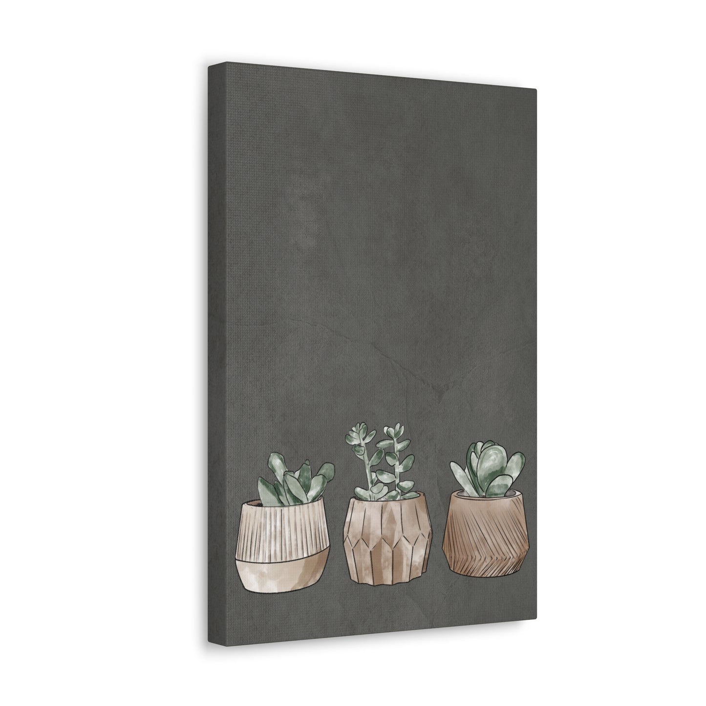 Succulent Canvas Print