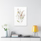 Wildflower Dream Canvas Print
