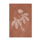 Romantic Sketch 8 Canvas Print