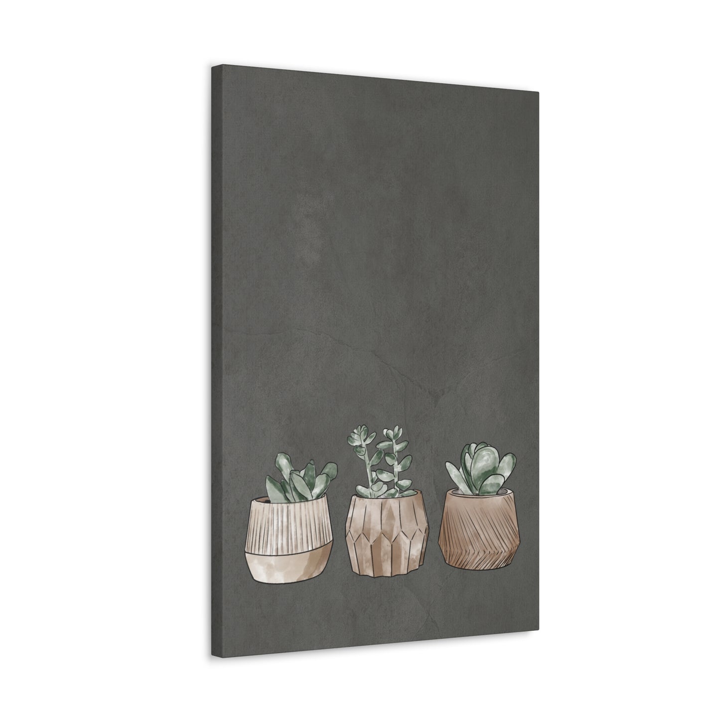 Succulent Canvas Print