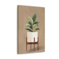Potted Peace Lily Canvas Print