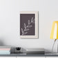 Botanical Brown 1 Canvas Print
