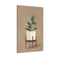 Potted Peace Lily Canvas Print